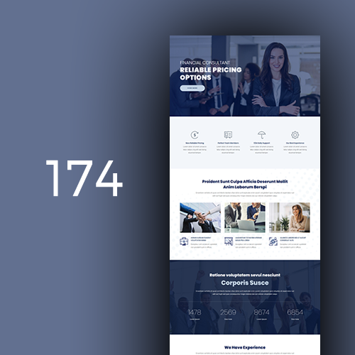 Financial Consultant