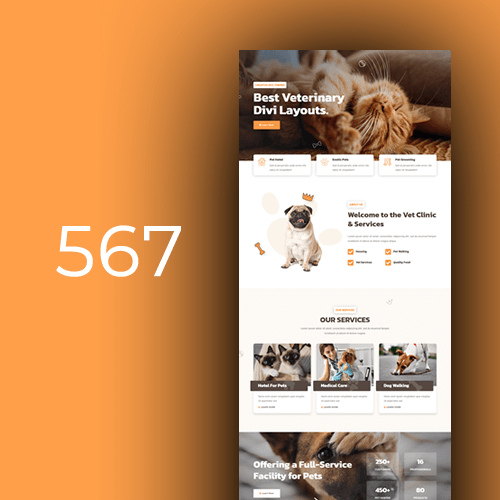 Veterinary 3